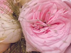-BOBLOOM花店(宝龙旭辉广场店)