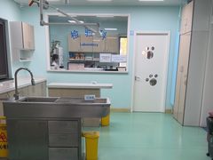 -北京观赏动物医院·24小时大型综合·猫专科·异宠专科
