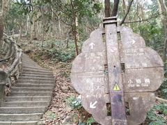 -梧桐山风景名胜区