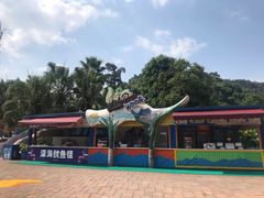 -重庆海昌加勒比海水世界