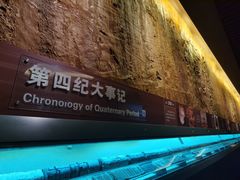 -大庆市博物馆