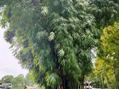 -成都杜甫草堂博物馆