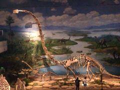 -自贡恐龙博物馆