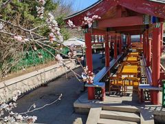 -尚庄度假村·庭台树下·户外烧烤·团建CS·轰趴营地(上庄水库店)