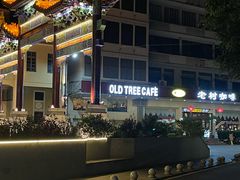 -OLD TREE老树咖啡·西餐厅(台山人工湖店)