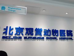 -北京观赏动物医院·24小时大型综合·猫专科·异宠专科