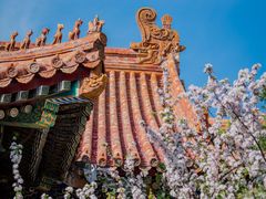 -故宫博物院(故宫)