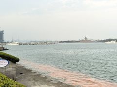 -日照世帆赛基地