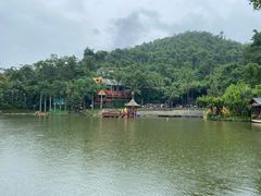 -西双版纳原始森林公园