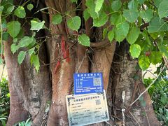 -西双版纳总佛寺