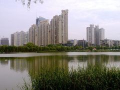 android_upload_pic-西北湖绿化广场