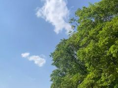 -南京市无想山景区