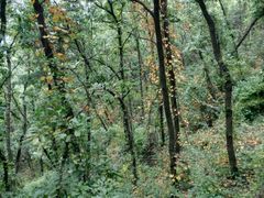 -阳台山自然风景区