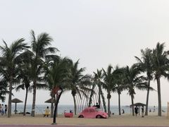 -玫瑰海岸文化旅游度假区