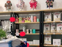 -伟伟宠物医院·瑞派猫友好医院·猫科(光谷店)