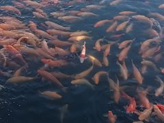 -长春市南湖公园