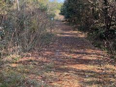 -南京市无想山景区