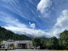 -石台牯牛降景区