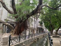 -小洲村