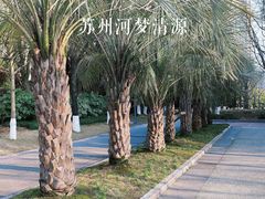 -苏州河梦清园环保主题公园