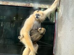 -昆明动物园