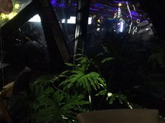 -巴别塔法餐舍(朝阳店)