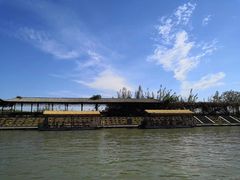 -泗洪洪泽湖湿地景区