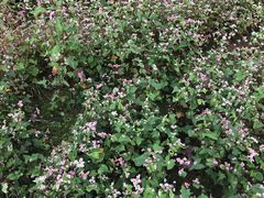 -中国天府农业博览园