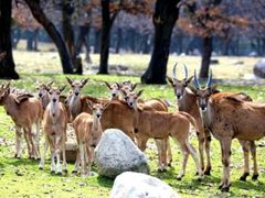 -西安秦岭野生动物园
