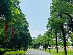 -海珠湖公园