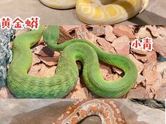 -无锡动物园·太湖欢乐园
