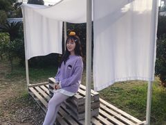 -柑橘农场