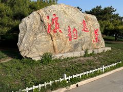 -塘沽森林公园