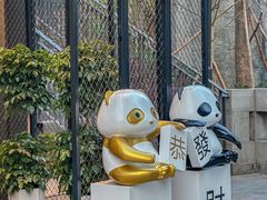 -嫩芽 ·地道重庆菜(十八梯露台夜景店)