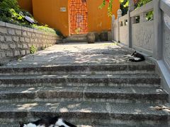 -宝通禅寺
