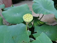 -法华学问寺-停车场