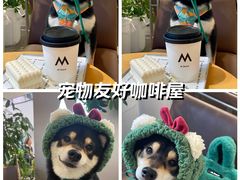 -M Stand(宁波万象城店)
