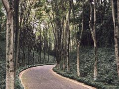 -宜兴龙背山森林公园