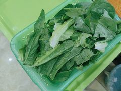 -15年老字号鑫鑫猪肚鸡·椰子鸡海南火锅(兴隆华侨农场店)