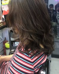 -SALON V