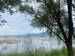 -野鸭湖国家湿地公园