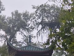 -墨茉点心局(国金街店)