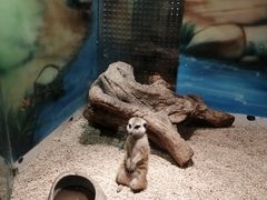 -昆明大悦城未来动物城(螺蛳湾中心店)