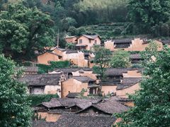 -杨家堂村