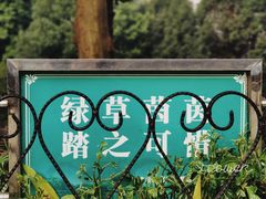 -龙头寺公园
