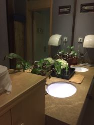 -唯伊美塑身美养连锁