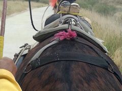 -水洞沟旅游区
