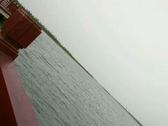 -南湖湿地公园