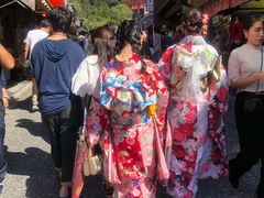 -有栖山 清光院 清水寺