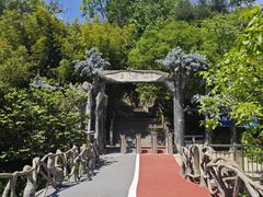 -王顺山国家森林公园
